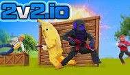 2v2 IO 2v2 IO