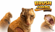 Brush Jjaemu Brush Jjaemu