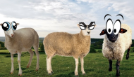Crazy Cattle 3D +