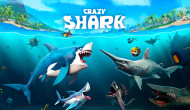 Crazy Shark