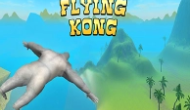 Flying Kong