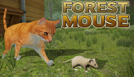 Forest Mouse