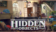Hidden Objects: Brain Teaser