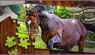 Jigsaw Puzzle Horses Edition