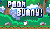 Poor Bunny