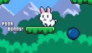 Poor Bunny