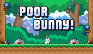 Poor Bunny